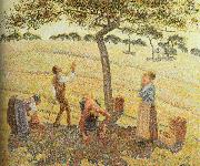 Camille Pissarro Pick  Apples Germany oil painting artist